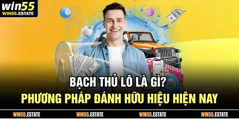 bạn cần phải biết về bạch thủ lô là gì tại 55Win