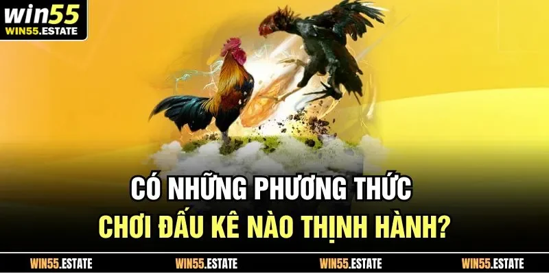 Có những phương thức chơi đấu kê nào thịnh hành?