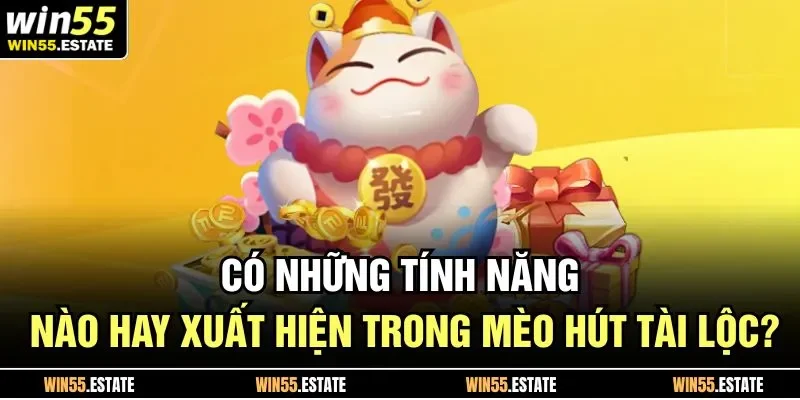 Có những tính năng nào hay xuất hiện trong mèo hút tài lộc?