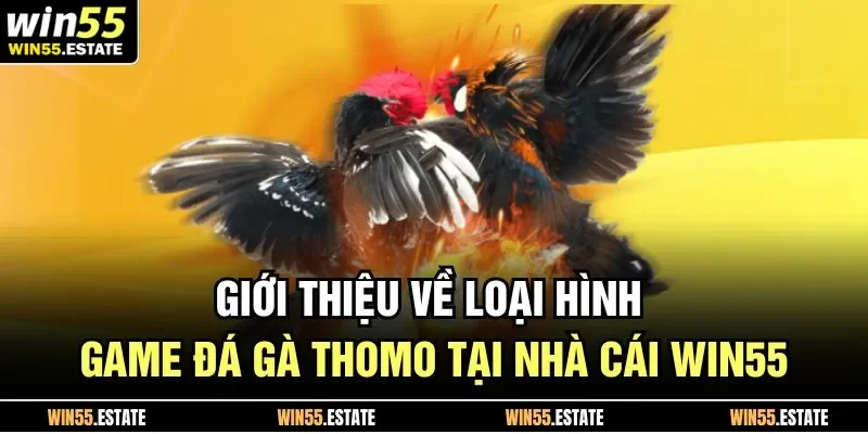 Giới thiệu về loại hình game đá gà thomo tại nhà cái Win55