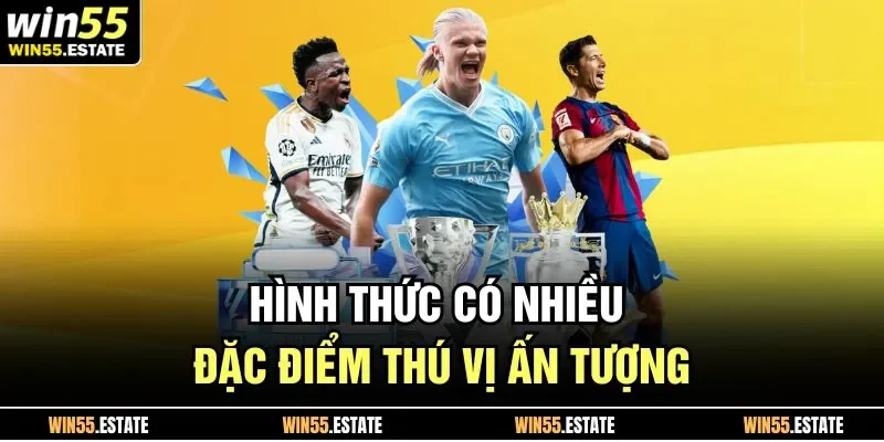 Hình thức có nhiều đặc điểm thú vị ấn tượng 