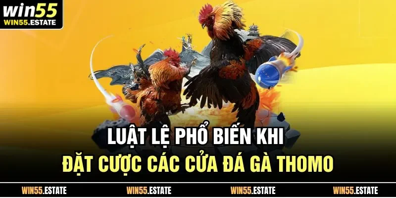 Luật lệ phổ biến khi đặt cược các cửa đá gà thomo