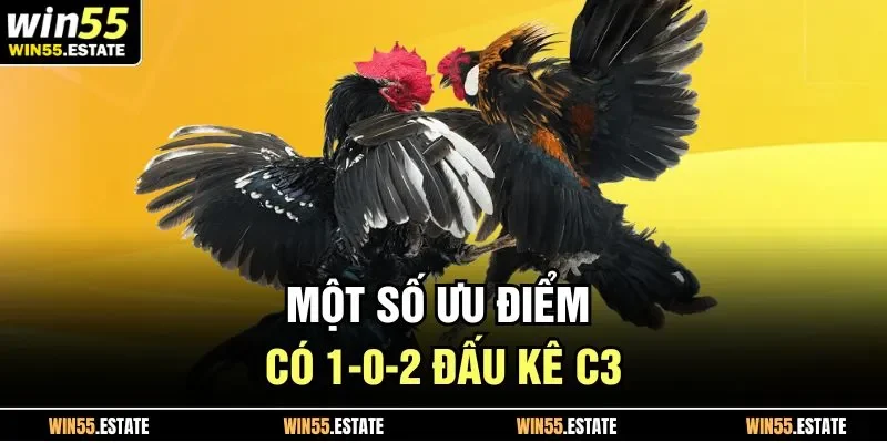 Một số ưu điểm có 1-0-2 đấu kê C3