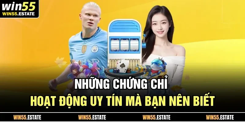 Những chứng chỉ hoạt động uy tín mà bạn nên biết