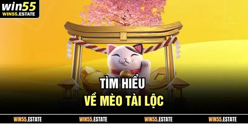 Tìm hiểu về mèo tài lộc