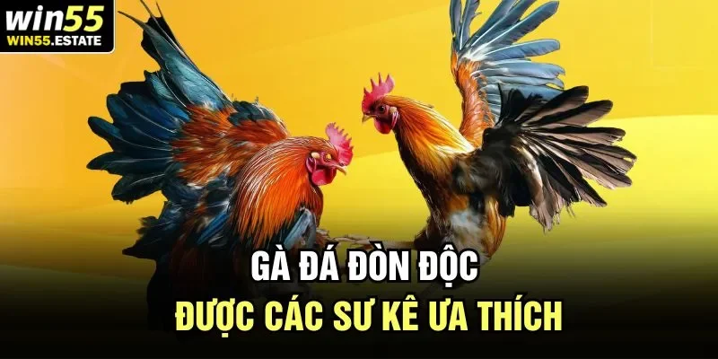 Gà đá đòn độc được các sư kê ưa thích