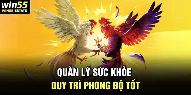 Quản lý sức khỏe duy trì phong độ tốt